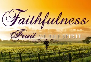 fruitosp_faithfulness