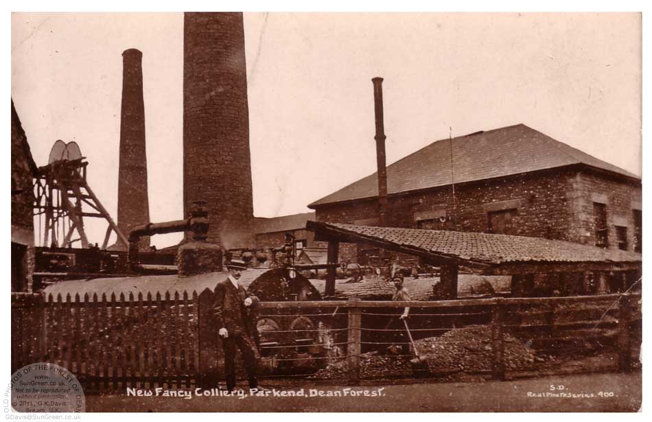 New_Fancy_Mosely-Green