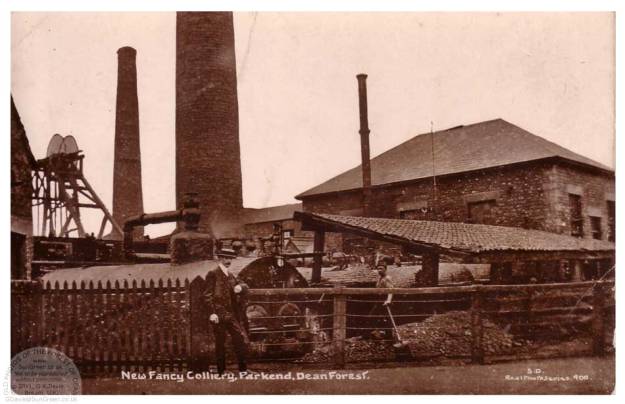 New_Fancy_Mosely-Green