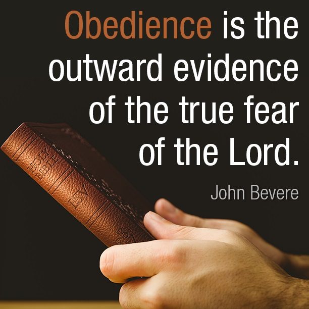 obedience-1-e1601191356339.jpg