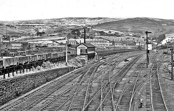 17903339_1392923360751463_926953874491982551_n