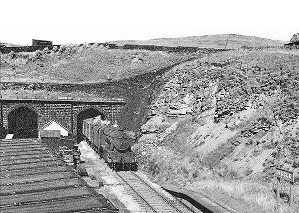 22815535_1579832072060590_4800905797285324110_n