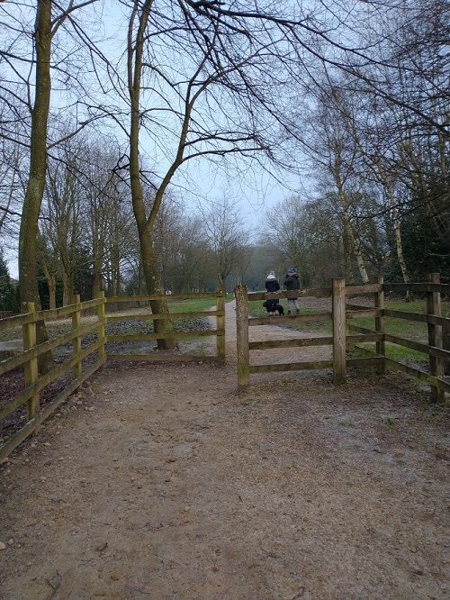 IMG_20210125_103826231