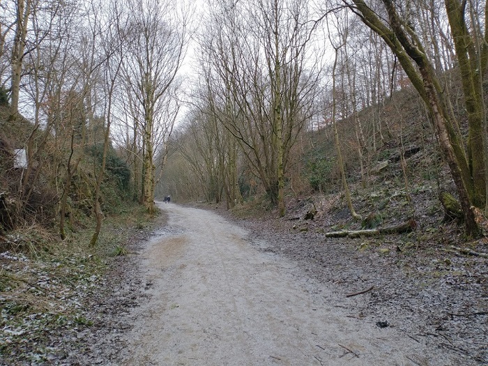 IMG_20210125_104537413