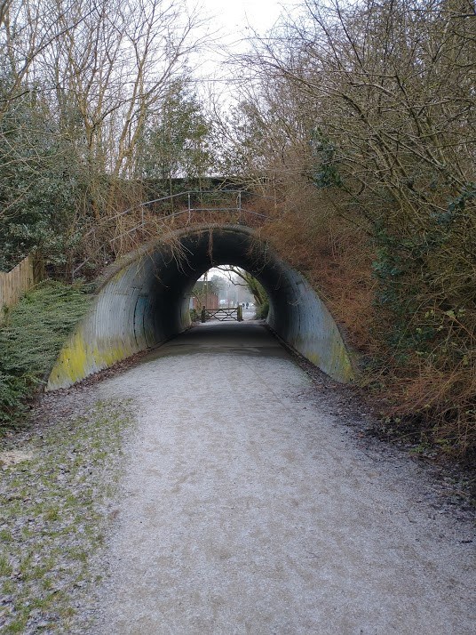 IMG_20210125_105107252