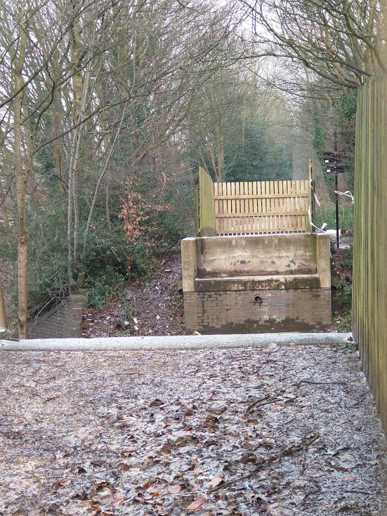 IMG_20210125_105947424