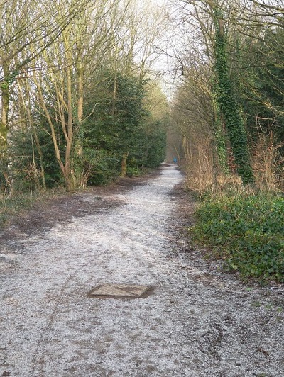 IMG_20210125_110859657