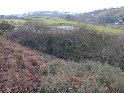 IMG_20210125_113826936