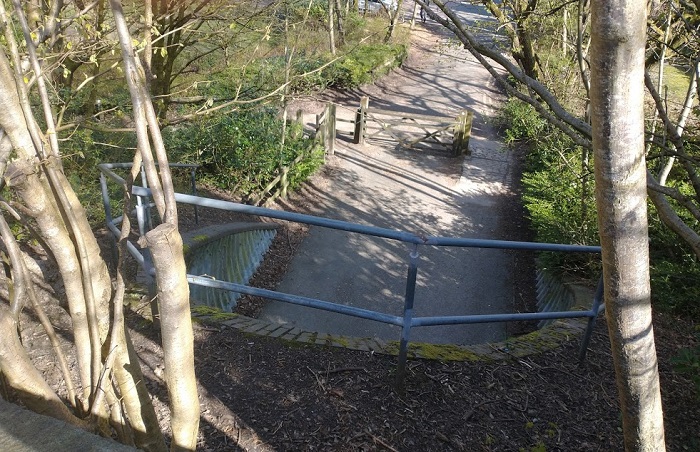 IMG_20210406_102420800